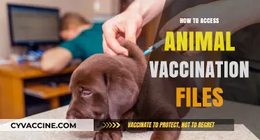 Accessing Animal Vaccination Records: A Step-by-Step Guide for Pet Owners