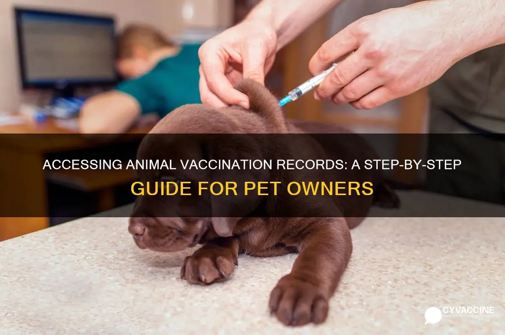 how to access animal vaccination files