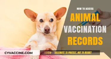 Accessing Your Pet's Vaccination Records: A Step-by-Step Guide