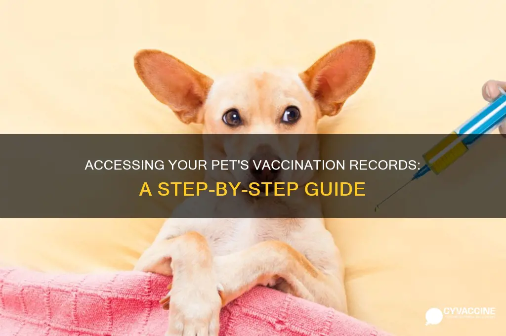 how to access animal vaccination records