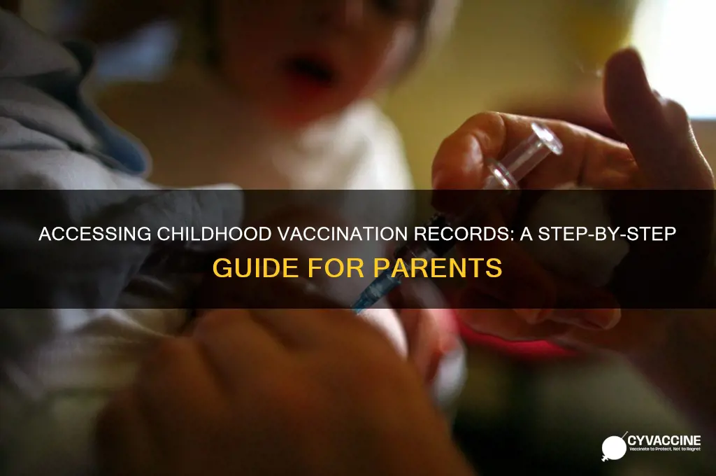 how to access childhood vaccination records