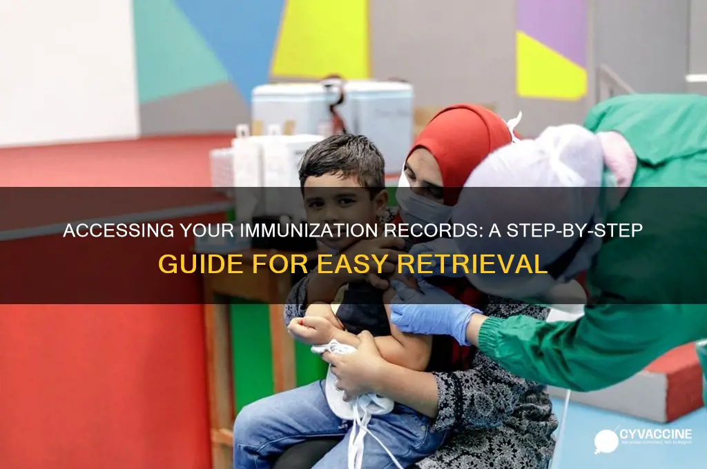 how to access my immunization records