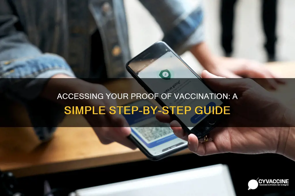 how to access proof of vaccination