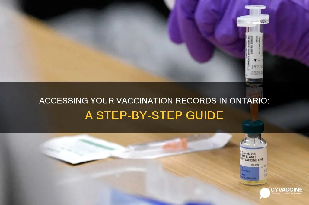 how to access vaccination records ontario