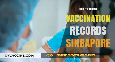 Accessing Your Vaccination Records in Singapore: A Quick Guide
