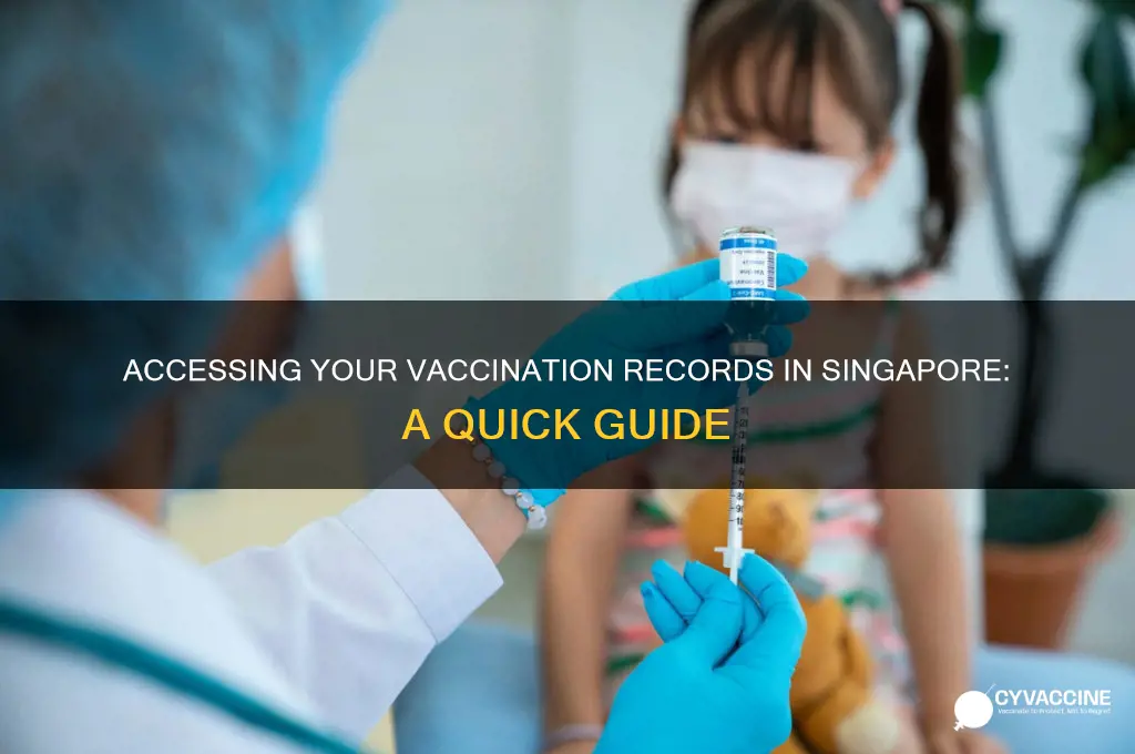 how to access vaccination records singapore