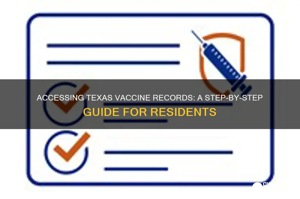 how to access vaccine records texas