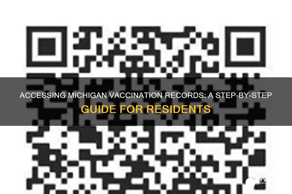 how to accesss vaccination records state of mi