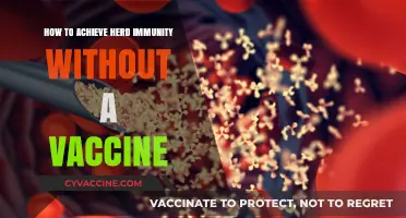 Achieving Herd Immunity Naturally: Strategies Beyond Vaccination Explained