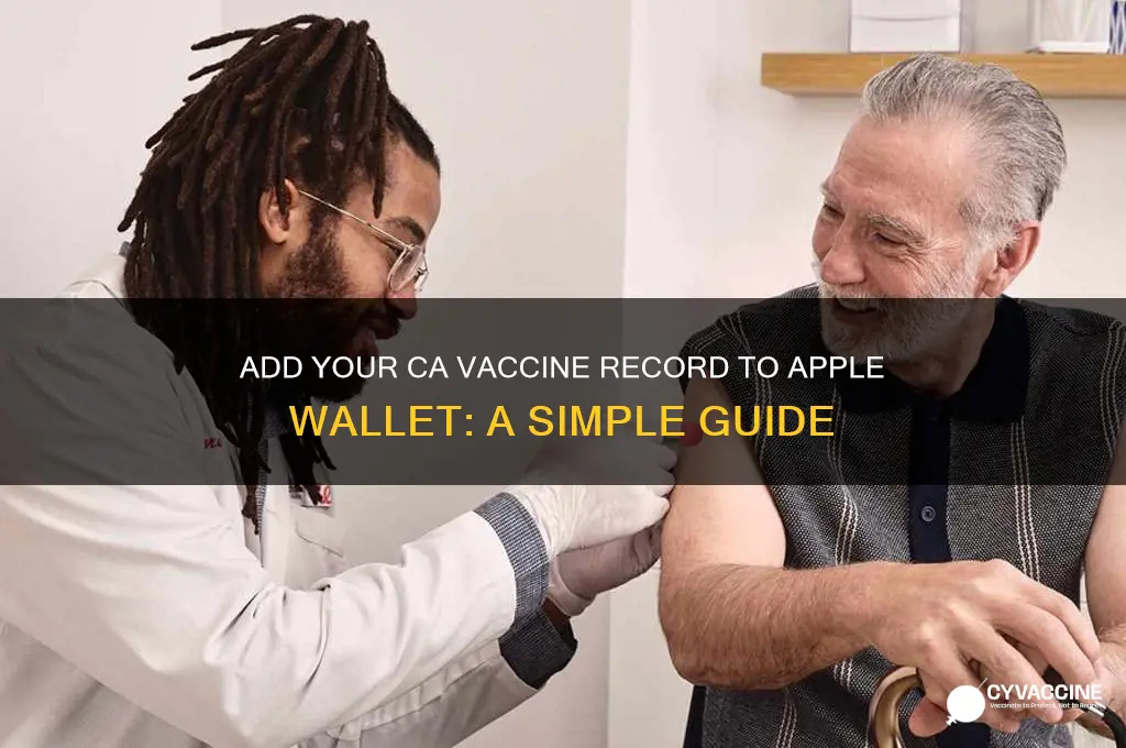 how to add ca vaccine record to apple wallet