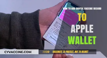 Add Your Digital Vaccine Record to Apple Wallet: A Quick Guide