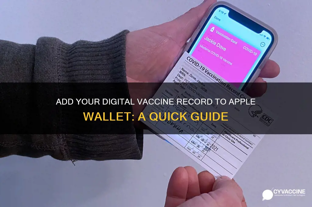 how to add digital vaccine record to apple wallet