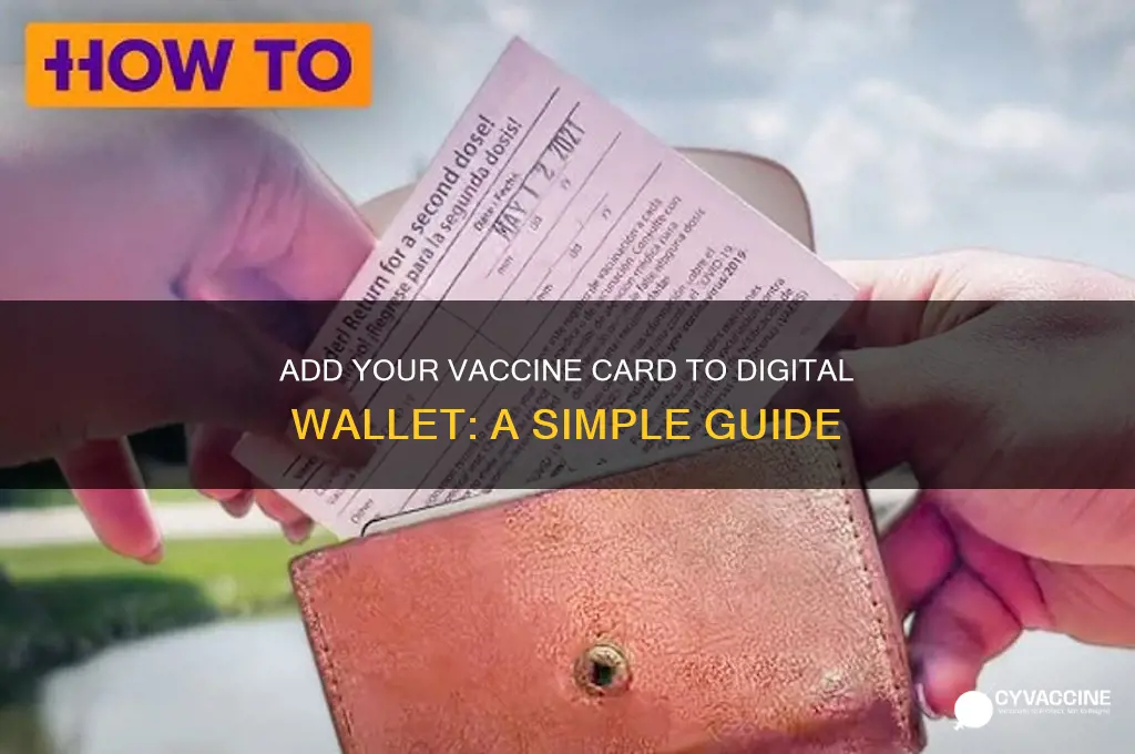 how to add my vaccine to my wallet