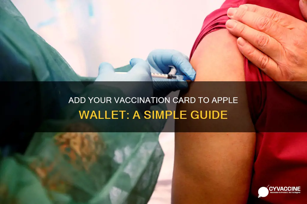 how to add vaccination apple wallet