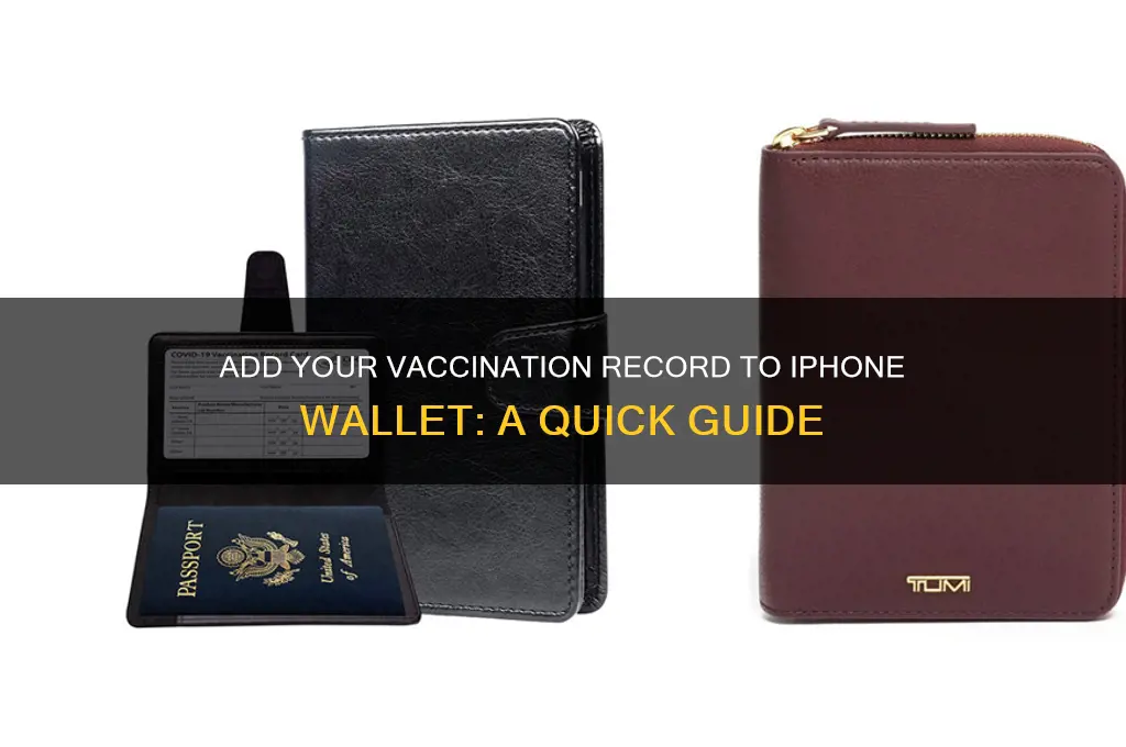 how to add vaccination record to iphone wallet