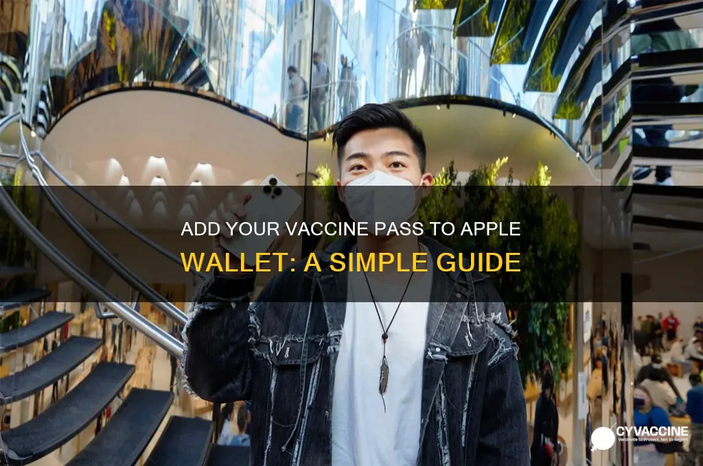 how to add vaccine pass to apple wallet