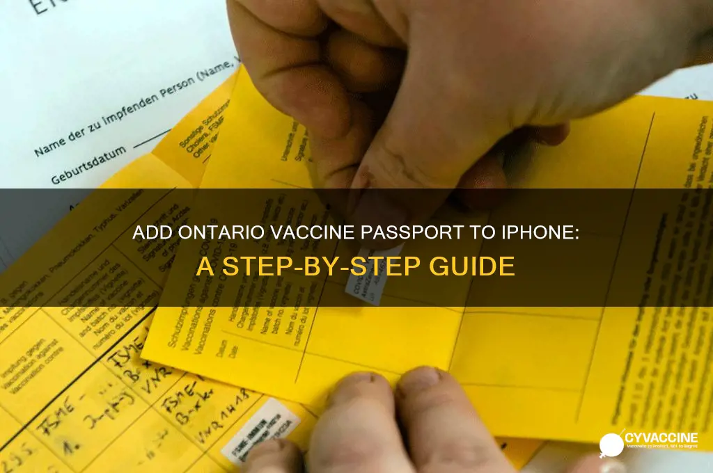 how to add vaccine passport to iphone ontario