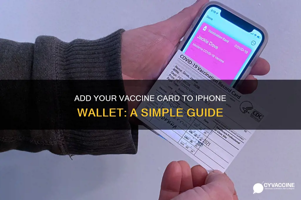 how to add vaccine to wallet on iphone