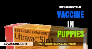Puppy Vaccination Guide: Administering the 5-in-1 Vaccine Safely