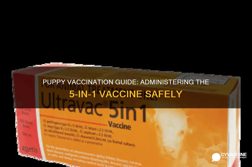 how to administer 5 in 1 vaccine in puppies