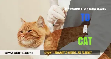 Safely Administering Rabies Vaccines to Cats: A Step-by-Step Guide