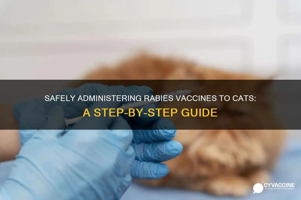 how to administer a rabies vaccine to a cat