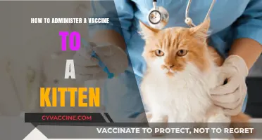 Step-by-Step Guide to Safely Vaccinating Your Kitten at Home