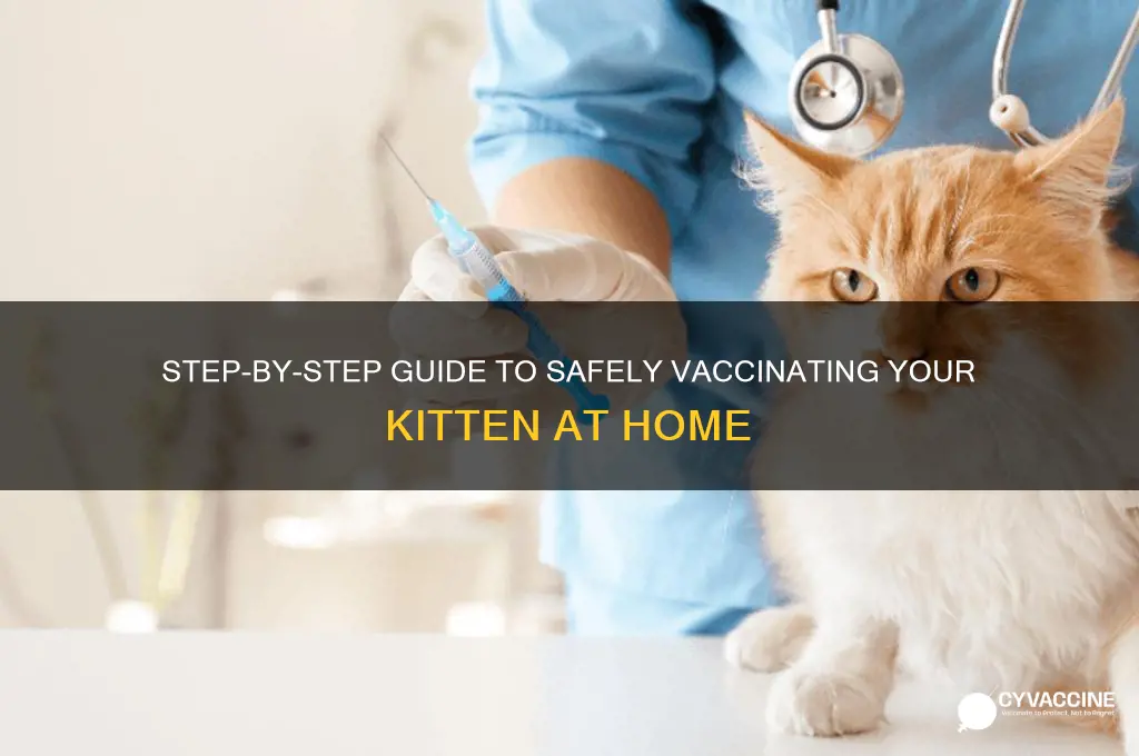 how to administer a vaccine to a kitten