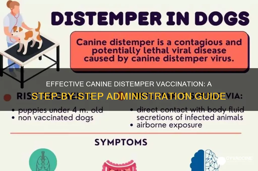 how to administer canine distemper vaccine