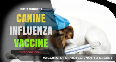 Administering Canine Influenza Vaccine: A Step-by-Step Guide for Pet Owners