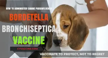 Administering Canine Parainfluenza Bordetella Bronchiseptica Vaccine: A Step-by-Step Guide