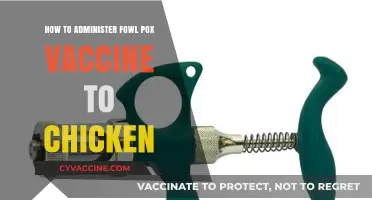 Effective Fowl Pox Vaccination: A Step-by-Step Guide for Chicken Owners