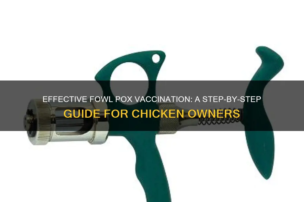 how to administer fowl pox vaccine to chicken