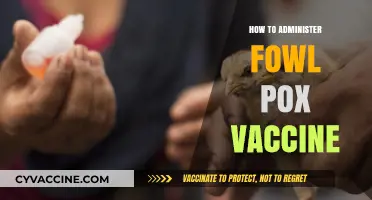 Effective Fowl Pox Vaccination: A Step-by-Step Guide for Poultry Farmers