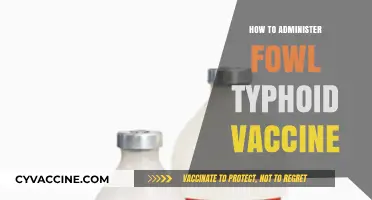 Effective Fowl Typhoid Vaccine Administration: A Step-by-Step Guide