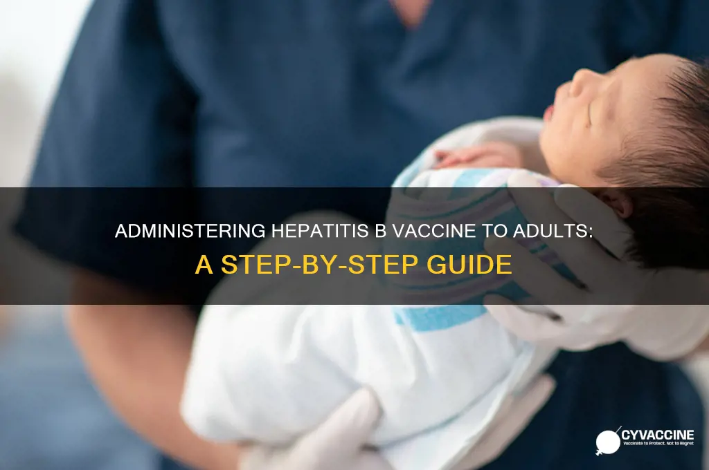 how to administer hep b vaccine to adults