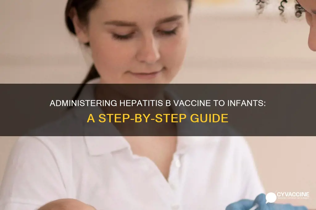 how to administer hep b vaccine to infants