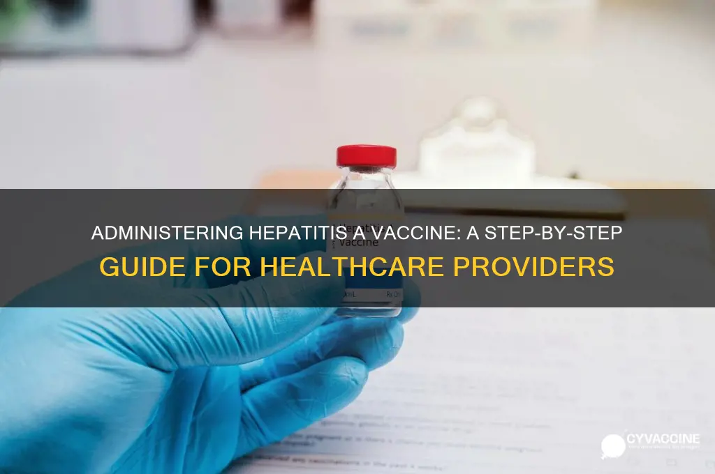 how to administer hepatitis a vaccine