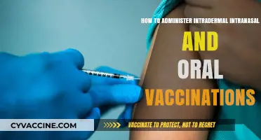 Mastering Intradermal, Intranasal, and Oral Vaccination Administration Techniques