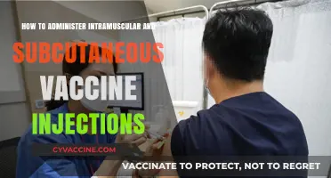 Mastering Vaccine Administration: Intramuscular & Subcutaneous Injection Techniques