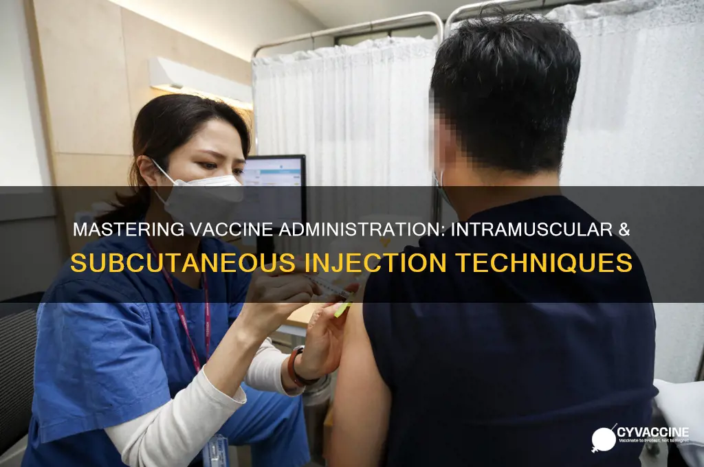how to administer intramuscular and subcutaneous vaccine injections