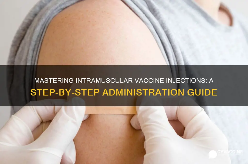how to administer intramuscular vaccine injections