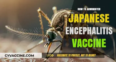 Administering Japanese Encephalitis Vaccine: A Step-by-Step Guide for Healthcare Professionals