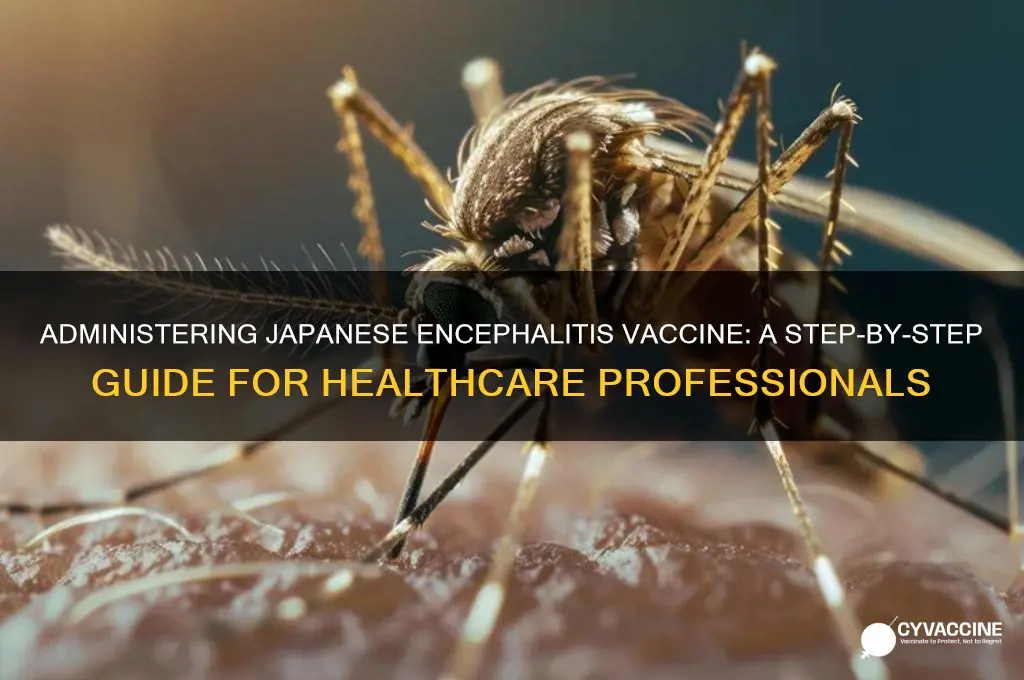 how to administer japanese encephalitis vaccine