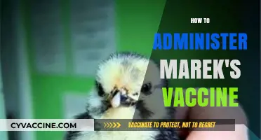 Administering Marek's Vaccine: A Step-by-Step Guide for Poultry Farmers
