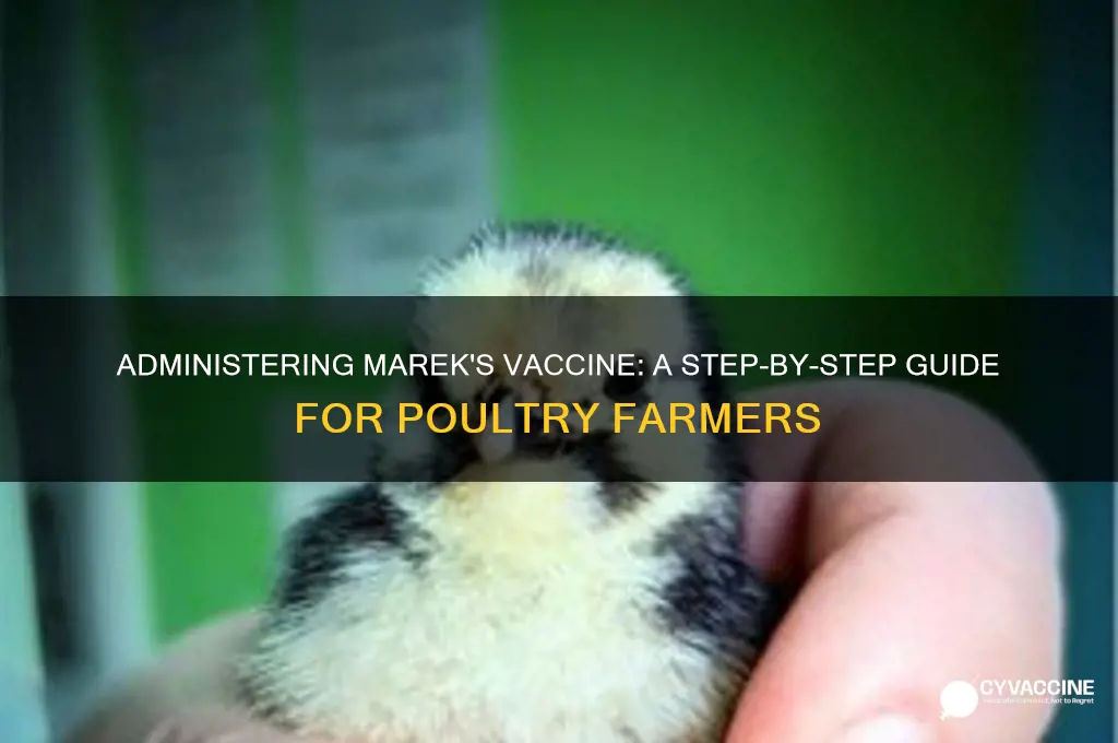 how to administer marek