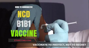 Administering NCD B1B1 Vaccine: A Step-by-Step Guide for Healthcare Professionals