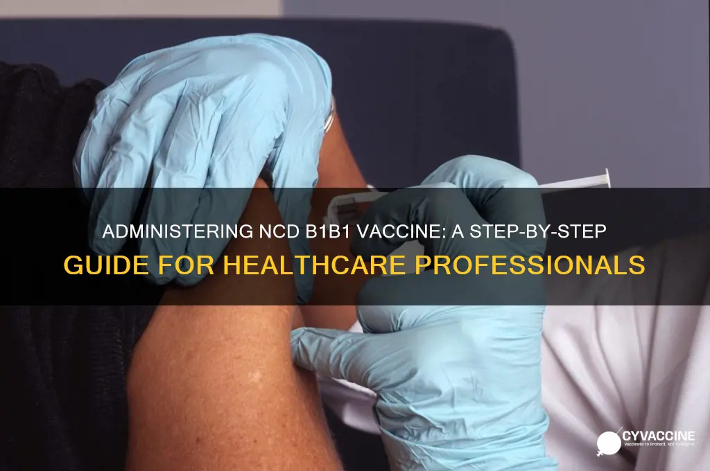 how to administer ncd b1b1 vaccine