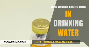 Administering Newcastle Vaccine in Drinking Water: A Step-by-Step Guide