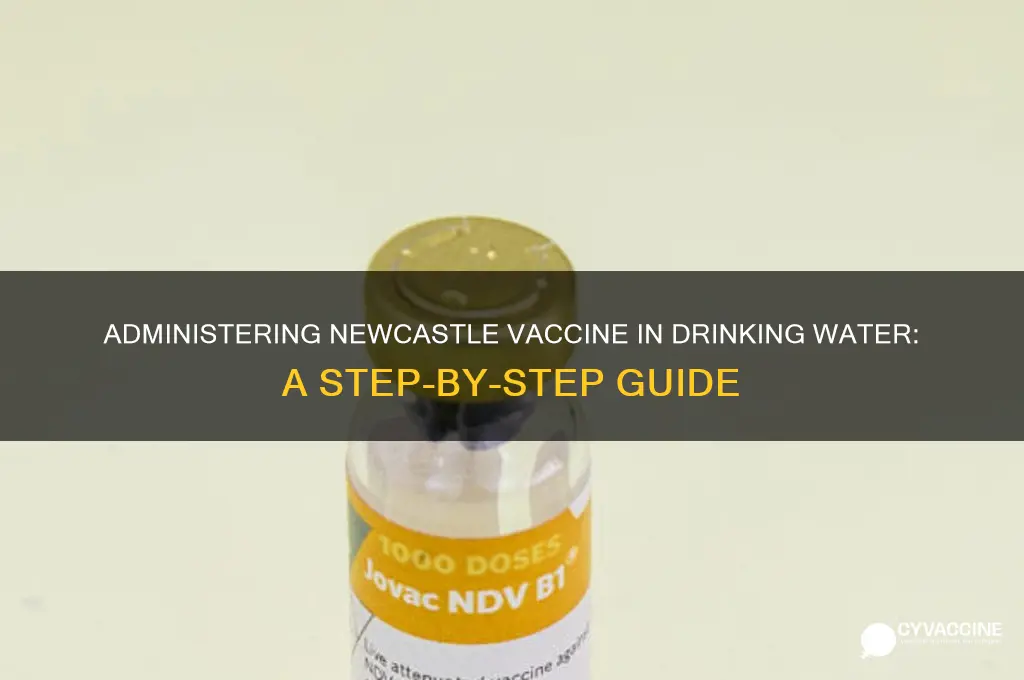 how to administer newcastle vaccine in drinking water